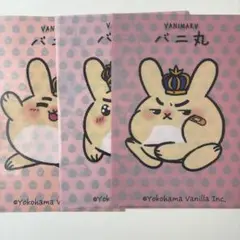 バニ丸 クリアファイル 3枚セット