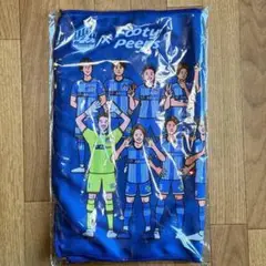 【新品・未開封】モンテディオ山形　ファンクラブ限定　フェイス　タオル