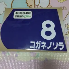 競馬 ミニゼッケン コガネノソラ 秋華賞