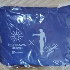 西川羽毛ひざ掛け
