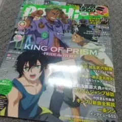 付録はピンナップのみ