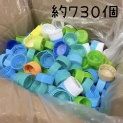 ペットボトルキャップ　約７３０個