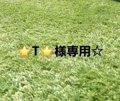 ⭐T⭐様　専用☆