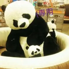 専用