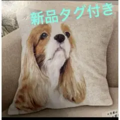 Item thumbnail for item eaaa637c-c1bb-4ee5-88e6-48ecd1269f7a