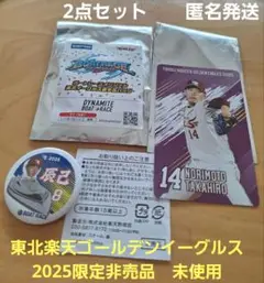 レア❗2点セット送料込■楽天イーグルス　選手カード&　ピンバッジ■則本　辰己