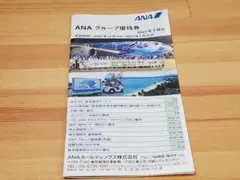 ANA グループ 優待券 1冊