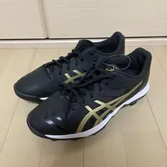【本日限定出品】アシックス　GOLDStage fang 26.0