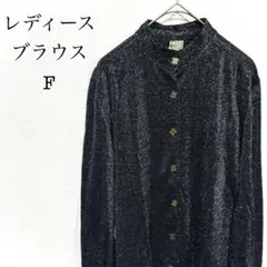 レディース　薄手　長袖ブラウス　黒　ラメ生地　F　カジュアル　キレイめ　透け感有