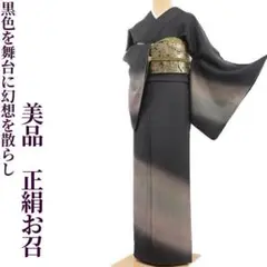 美品 正絹“黒色を舞台に幻想を散らしセンスを花開くお手伝い!”お召 K-14