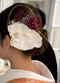 胡蝶蘭とドライフラワー