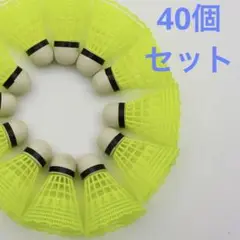 バドミントン シャトル 大容量　ノック練習 耐久 軽量 羽根 打感