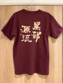 立山　黒部源流Tシャツ　Sサイズ　男女兼用