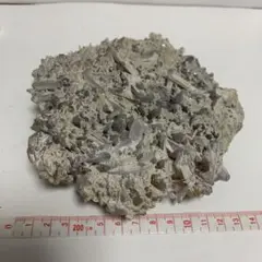 水晶クラスターレアタイプ 1191g