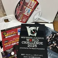 リヴァプール　横浜F・マリノス　記念グッズ クリアファイル　うちわ他