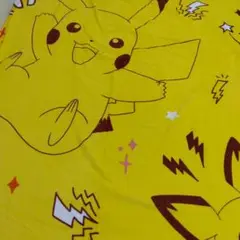 シングルサイズ タオルケット ピカチュー＆ピチュー ポケモン