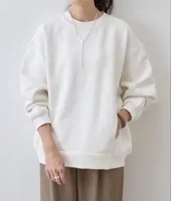 タグ付き　2025 ビアズリー beardsley ニュアンストレーナー
