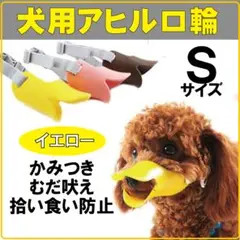 Item thumbnail for item 3c3a08b0-1a85-4a69-88c5-36c6c160b4a7