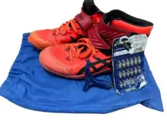 Item thumbnail for item d6cb12c5-cf60-4638-adf4-56360ab5acec