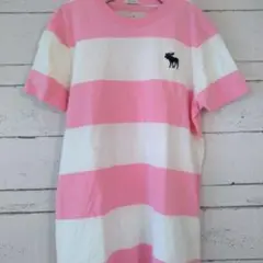 【Abercrombie & Fitch】ストライプ半袖　Tシャツ S　ピンク