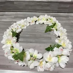 ✨美品✨フラダンス用ホワイトレイ