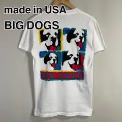 Y2K ヴィンテージ USA製 BIGDOGS バックプリント 半袖Tシャツ