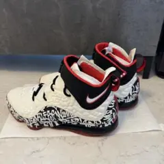 NIKE ナイキ　NIKE LEBRON XVII GRAFFITI レブロン