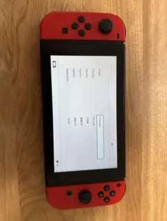 Nintendo Switch 本体+Pro コントローラー+その他