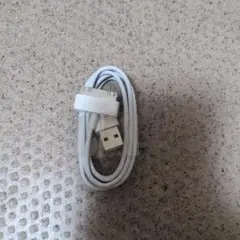 旧型 iPhone iPod 充電通信ケーブル 純正品