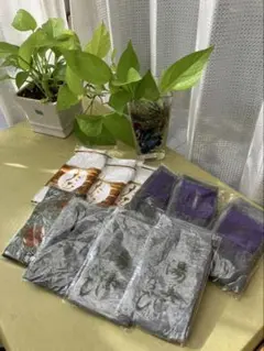 Item thumbnail for item 476919f3-4272-42ec-b0a6-3a0763850279