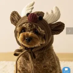 Item thumbnail for item 64ac2101-9f80-47fc-ba00-1b8db7f87c5f