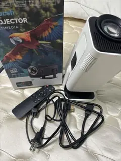 Item thumbnail for item d6ffb171-eb2a-43f4-b014-e4eb13f80344