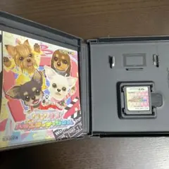 DS ワンタメ　バラエティチャンネル