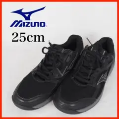 Mizuno*スニーカー*ウォーキング*サイドジップ*25cm*黒*O3766