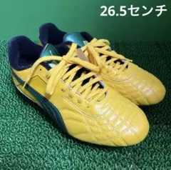 PUMA三浦知良刺繍サインシューズケース PUMA三浦知良刺繍サインシューズケース - メルカリ