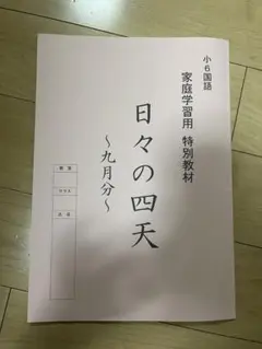 四天王寺中学　浜学園　小6 テキスト　プリントおまとめセット 四天王寺中学 浜学園 小6 テキスト プリントおまとめセット