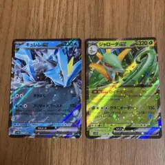 キュレムEX & ジャローダEX セットカード
