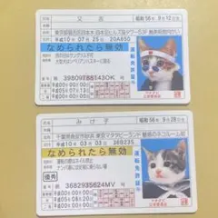 なめ猫 2枚セット