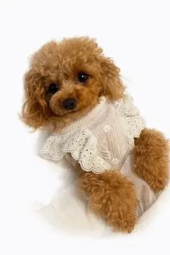 Item thumbnail for item f0e7b892-a89f-4b77-86c9-3358d69e99f1