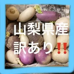 山梨県産 訳あり‼️野菜セット あやめ雪かぶ・大根・ビーツ