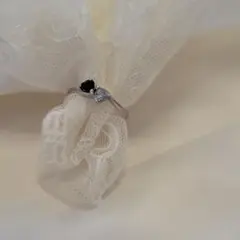 Item thumbnail for item 634262bd-b6a1-46ab-876e-f6835a086875