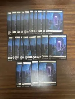 基本土地　沼 / Swamp　FDN フルアート土地　24枚　お買い得　MTG