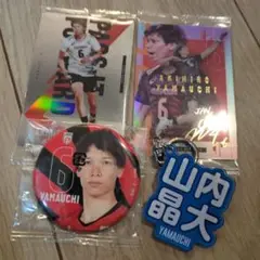 Item thumbnail for item 6e6a6082-6a98-44ed-a379-cfefc5c907c3