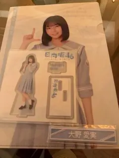 Item thumbnail for item 0a1affbb-090b-4830-9e09-0c0c2255b3d5