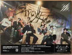 Stray Kids Scars ソリクン CD B