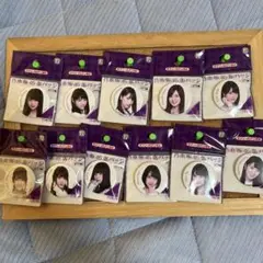乃木坂46 缶バッジ 11個セット コンプリート