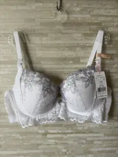 C75」トリンプ きゅっと寄せブラ ネモフィラスカイ花畑 ブラジャー