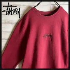 【即完売品】ステューシー スウェット ビック刺繍ロゴ 入手困難 希少カラー