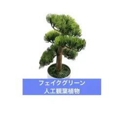 Item thumbnail for item 2bee070c-a3bc-42a4-986e-b671c3378ee1
