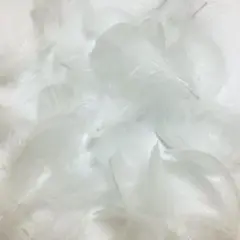 フェザーシャワー